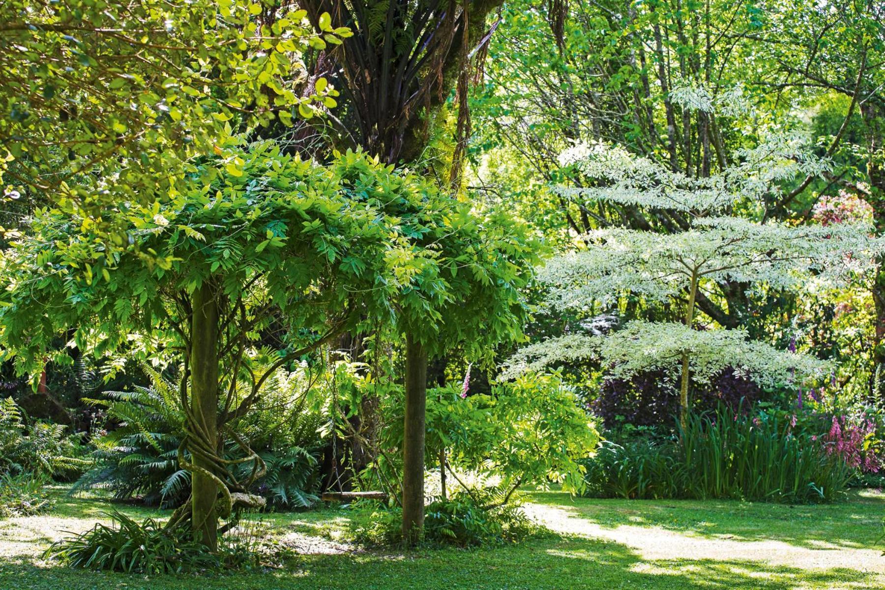 TePopo Gardens&Accommodation Stratford Esterno foto