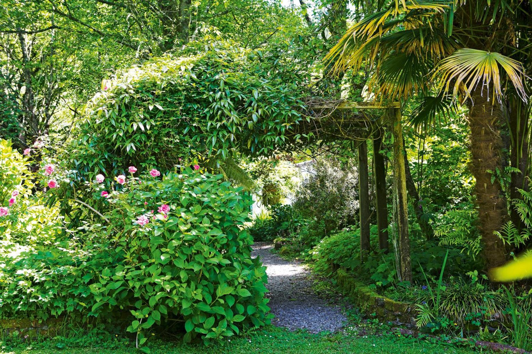 TePopo Gardens&Accommodation Stratford Esterno foto