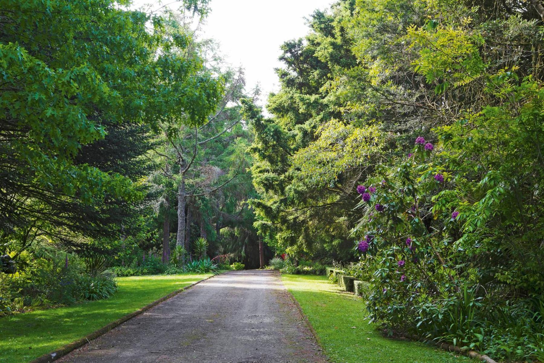TePopo Gardens&Accommodation Stratford Esterno foto