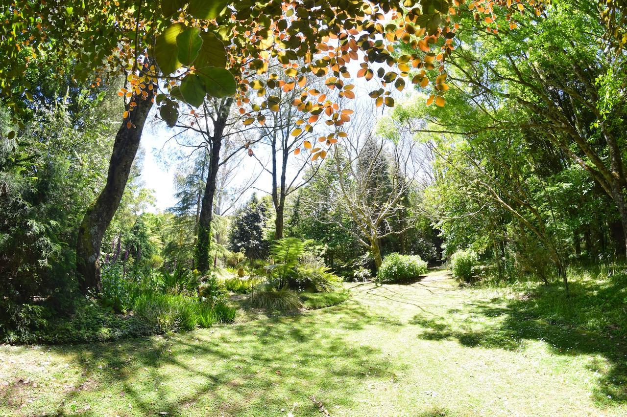 TePopo Gardens&Accommodation Stratford Esterno foto