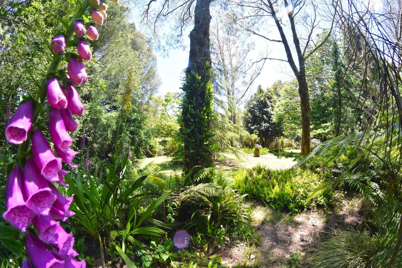 TePopo Gardens&Accommodation Stratford Esterno foto